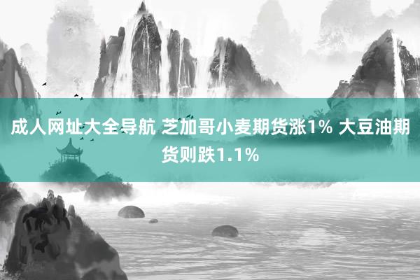 成人网址大全导航 芝加哥小麦期货涨1% 大豆油期货则跌1.1%