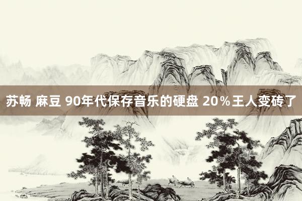 苏畅 麻豆 90年代保存音乐的硬盘 20％王人变砖了