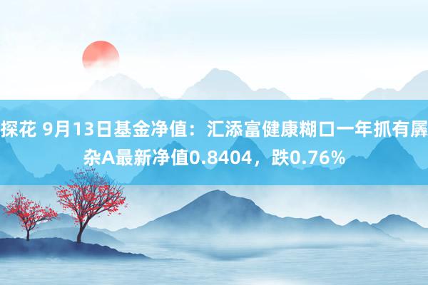 探花 9月13日基金净值：汇添富健康糊口一年抓有羼杂A最新净值0.8404，跌0.76%