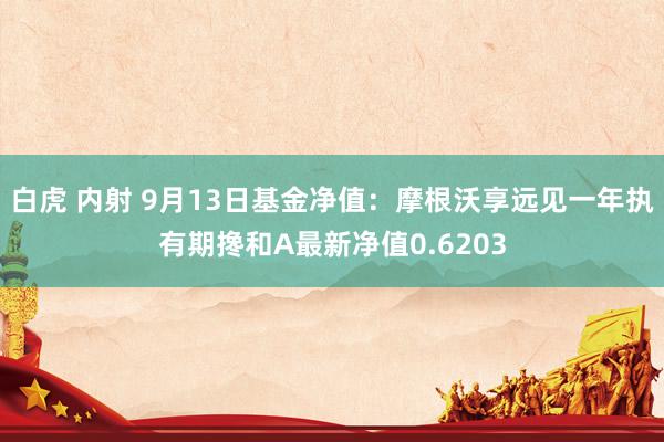 白虎 内射 9月13日基金净值：摩根沃享远见一年执有期搀和A最新净值0.6203