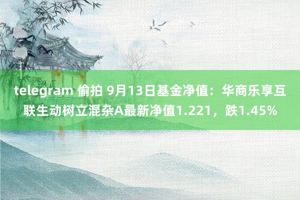 telegram 偷拍 9月13日基金净值：华商乐享互联生动树立混杂A最新净值1.221，跌1.45%