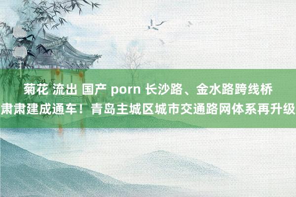 菊花 流出 国产 porn 长沙路、金水路跨线桥肃肃建成通车！青岛主城区城市交通路网体系再升级