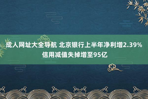 成人网址大全导航 北京银行上半年净利增2.39% 信用减值失掉增至95亿