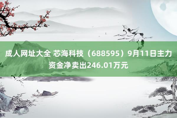 成人网址大全 芯海科技（688595）9月11日主力资金净卖出246.01万元