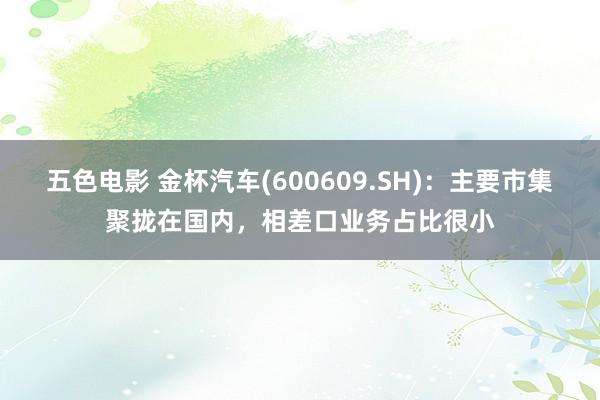 五色电影 金杯汽车(600609.SH)：主要市集聚拢在国内，相差口业务占比很小