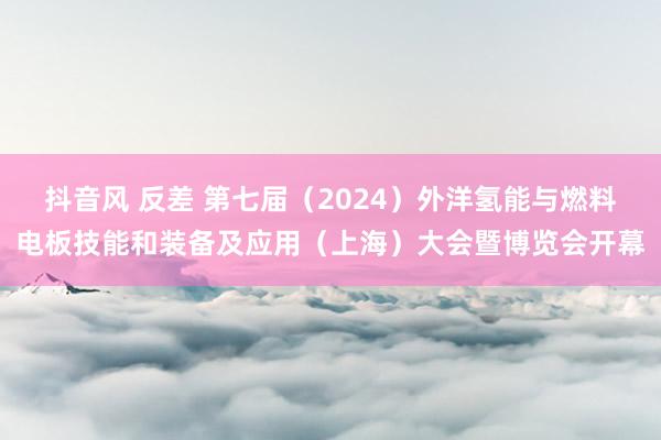 抖音风 反差 第七届（2024）外洋氢能与燃料电板技能和装备及应用（上海）大会暨博览会开幕