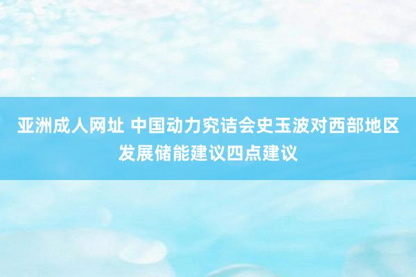 亚洲成人网址 中国动力究诘会史玉波对西部地区发展储能建议四点建议