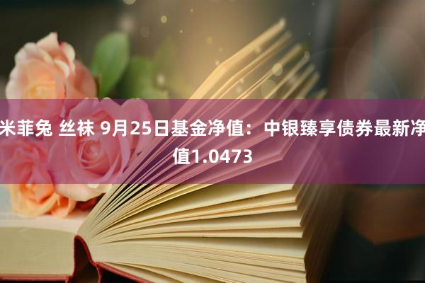 米菲兔 丝袜 9月25日基金净值：中银臻享债券最新净值1.0473