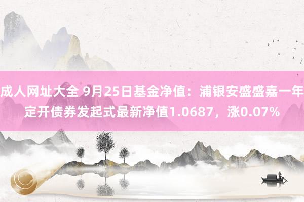 成人网址大全 9月25日基金净值：浦银安盛盛嘉一年定开债券发起式最新净值1.0687，涨0.07%