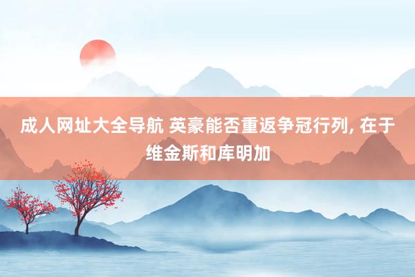 成人网址大全导航 英豪能否重返争冠行列， 在于维金斯和库明加