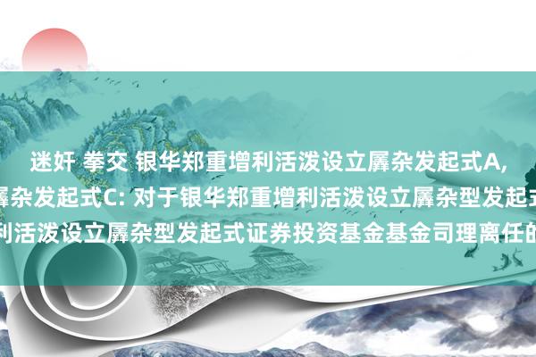 迷奸 拳交 银华郑重增利活泼设立羼杂发起式A，银华郑重增利活泼设立羼杂发起式C: 对于银华郑重增利活泼设立羼杂型发起式证券投资基金基金司理离任的公告