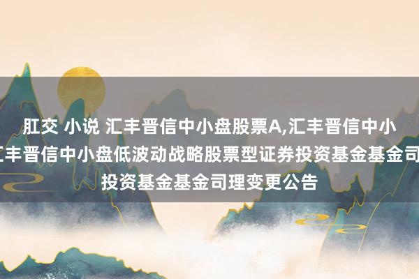 肛交 小说 汇丰晋信中小盘股票A，汇丰晋信中小盘股票C: 汇丰晋信中小盘低波动战略股票型证券投资基金基金司理变更公告