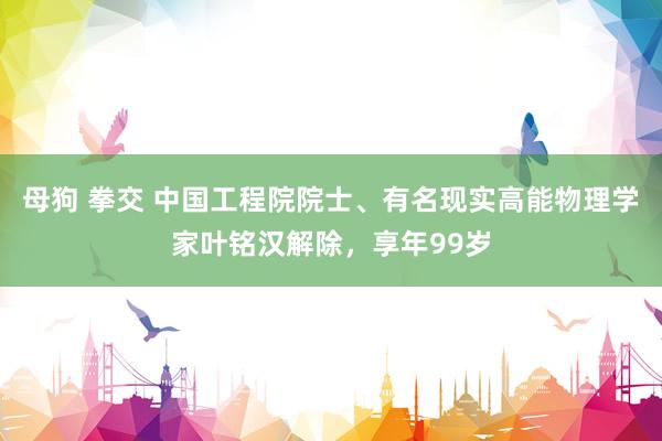 母狗 拳交 中国工程院院士、有名现实高能物理学家叶铭汉解除，享年99岁