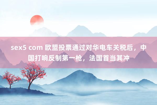 sex5 com 欧盟投票通过对华电车关税后，中国打响反制第一枪，法国首当其冲