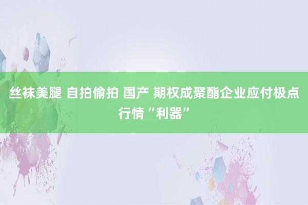 丝袜美腿 自拍偷拍 国产 期权成聚酯企业应付极点行情“利器”