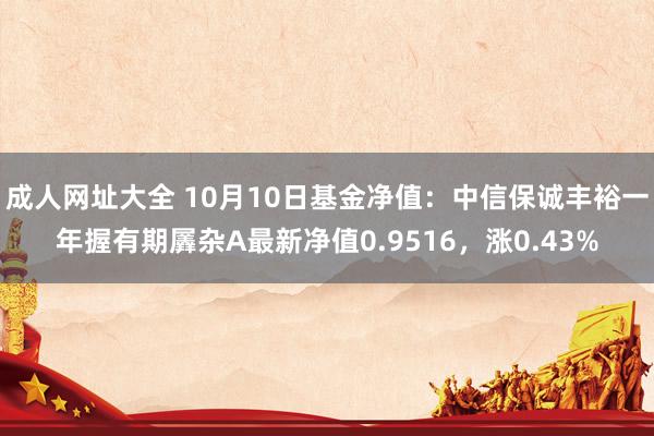 成人网址大全 10月10日基金净值：中信保诚丰裕一年握有期羼杂A最新净值0.9516，涨0.43%