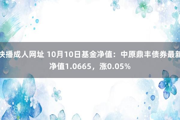 快播成人网址 10月10日基金净值：中原鼎丰债券最新净值1.0665，涨0.05%