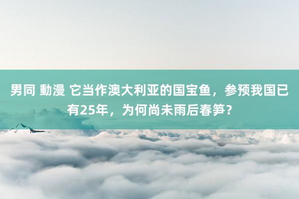 男同 動漫 它当作澳大利亚的国宝鱼，参预我国已有25年，为何尚未雨后春笋？