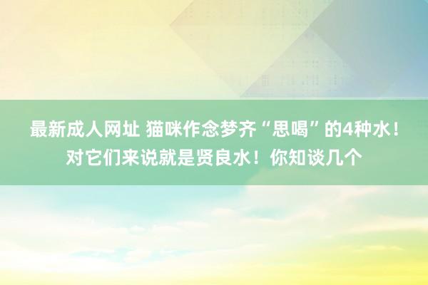 最新成人网址 猫咪作念梦齐“思喝”的4种水！对它们来说就是贤良水！你知谈几个