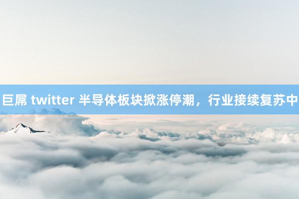 巨屌 twitter 半导体板块掀涨停潮，行业接续复苏中