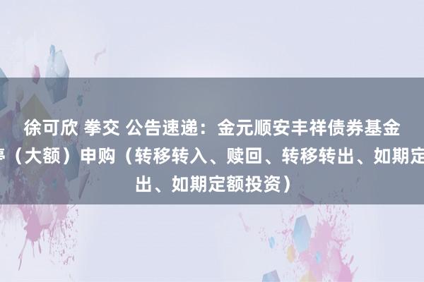 徐可欣 拳交 公告速递：金元顺安丰祥债券基金基金暂停（大额）申购（转移转入、赎回、转移转出、如期定额投资）