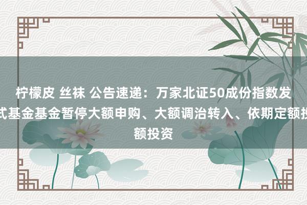 柠檬皮 丝袜 公告速递：万家北证50成份指数发起式基金基金暂停大额申购、大额调治转入、依期定额投资