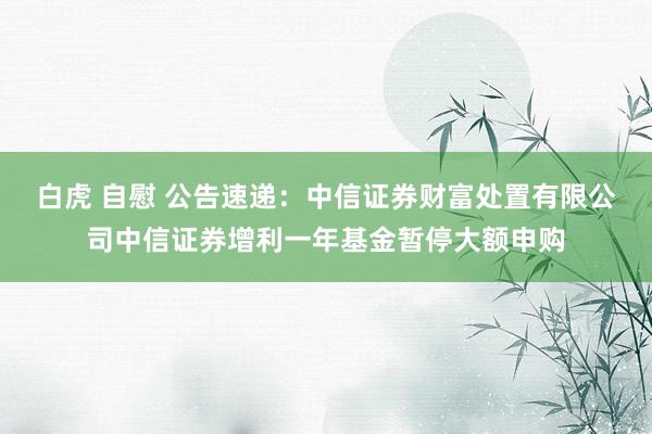 白虎 自慰 公告速递：中信证券财富处置有限公司中信证券增利一年基金暂停大额申购