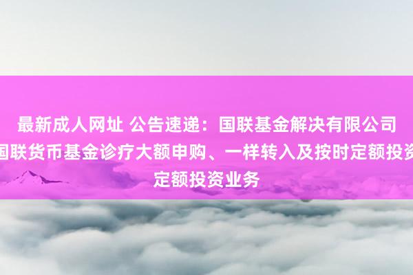 最新成人网址 公告速递：国联基金解决有限公司对于国联货币基金诊疗大额申购、一样转入及按时定额投资业务