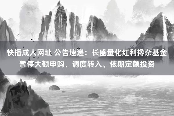 快播成人网址 公告速递：长盛量化红利搀杂基金暂停大额申购、调度转入、依期定额投资