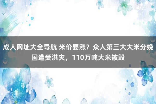 成人网址大全导航 米价要涨？众人第三大大米分娩国遭受洪灾，110万吨大米被毁