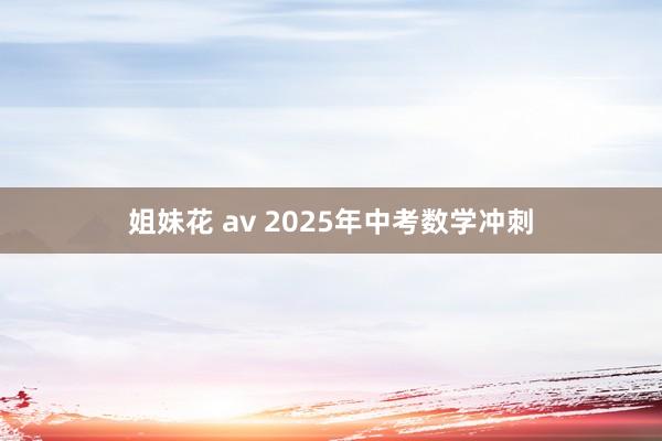 姐妹花 av 2025年中考数学冲刺