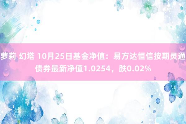 萝莉 幻塔 10月25日基金净值：易方达恒信按期灵通债券最新净值1.0254，跌0.02%