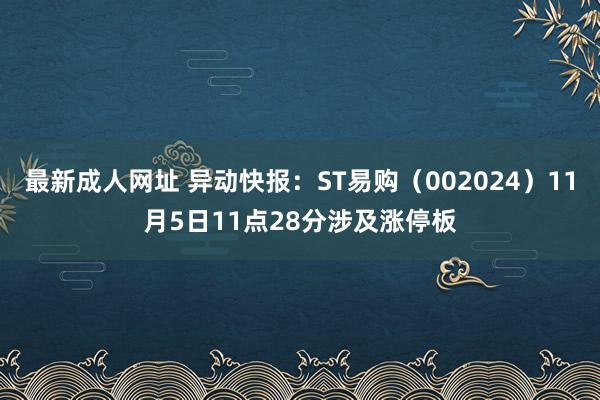 最新成人网址 异动快报：ST易购（002024）11月5日11点28分涉及涨停板