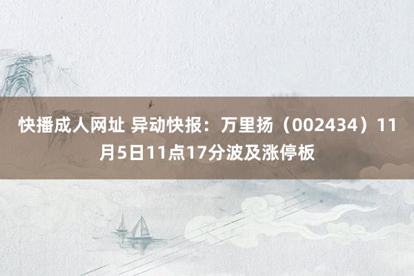 快播成人网址 异动快报：万里扬（002434）11月5日11点17分波及涨停板