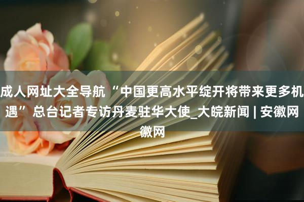 成人网址大全导航 “中国更高水平绽开将带来更多机遇” 总台记者专访丹麦驻华大使_大皖新闻 | 安徽网