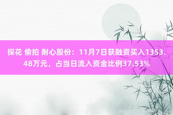 探花 偷拍 耐心股份：11月7日获融资买入1353.48万元，占当日流入资金比例37.53%