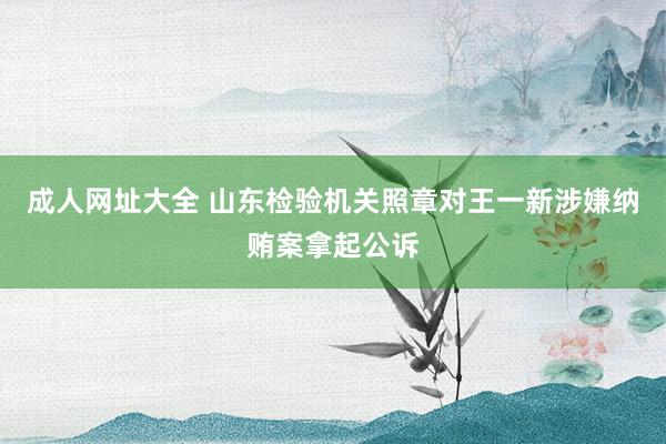 成人网址大全 山东检验机关照章对王一新涉嫌纳贿案拿起公诉