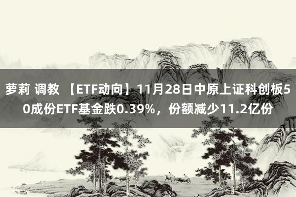 萝莉 调教 【ETF动向】11月28日中原上证科创板50成份ETF基金跌0.39%，份额减少11.2亿份