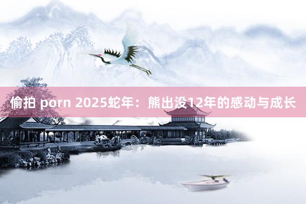 偷拍 porn 2025蛇年：熊出没12年的感动与成长