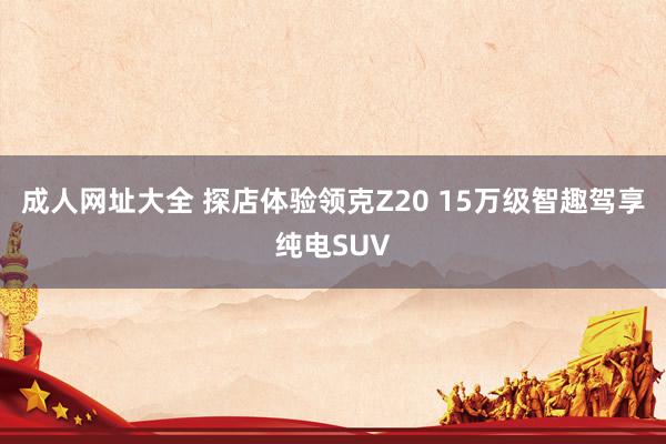 成人网址大全 探店体验领克Z20 15万级智趣驾享纯电SUV