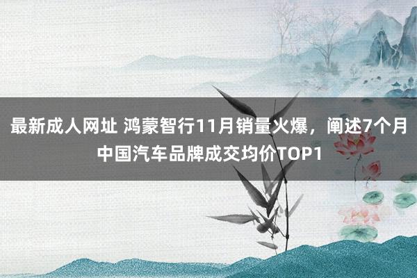 最新成人网址 鸿蒙智行11月销量火爆，阐述7个月中国汽车品牌成交均价TOP1