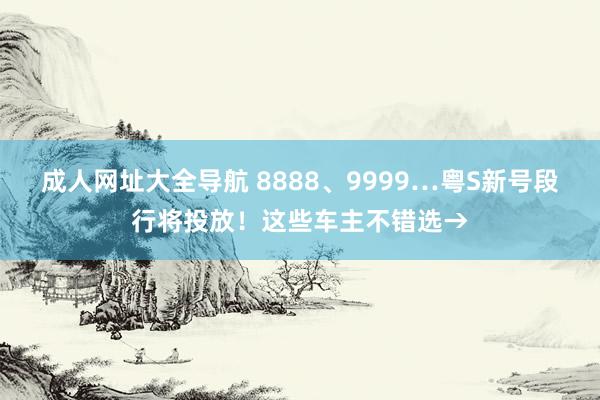 成人网址大全导航 8888、9999…粤S新号段行将投放！这些车主不错选→