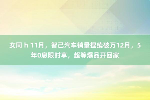 女同 h 11月，智己汽车销量捏续破万12月，5年0息限时享，超等爆品开回家