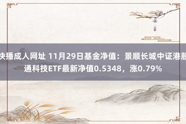 快播成人网址 11月29日基金净值：景顺长城中证港股通科技ETF最新净值0.5348，涨0.79%