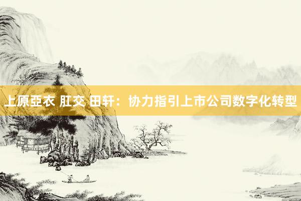 上原亞衣 肛交 田轩：协力指引上市公司数字化转型