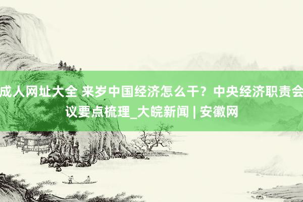 成人网址大全 来岁中国经济怎么干？中央经济职责会议要点梳理_大皖新闻 | 安徽网