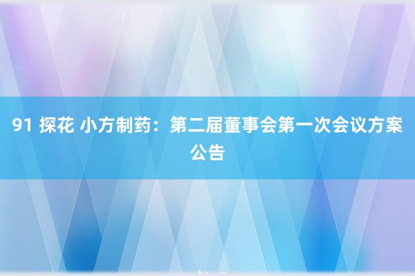 91 探花 小方制药：第二届董事会第一次会议方案公告