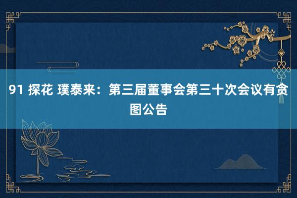 91 探花 璞泰来：第三届董事会第三十次会议有贪图公告