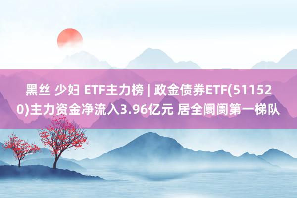 黑丝 少妇 ETF主力榜 | 政金债券ETF(511520)主力资金净流入3.96亿元 居全阛阓第一梯队