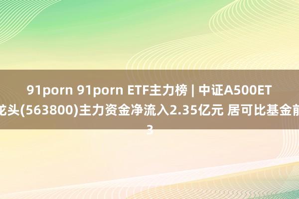 91porn 91porn ETF主力榜 | 中证A500ETF龙头(563800)主力资金净流入2.35亿元 居可比基金前3